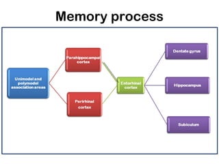 Memory | PPT