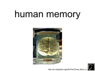 human memory




      http://en.wikipedia.org/wiki/File:Chimp_Brain_in_a_jar.jpg
 