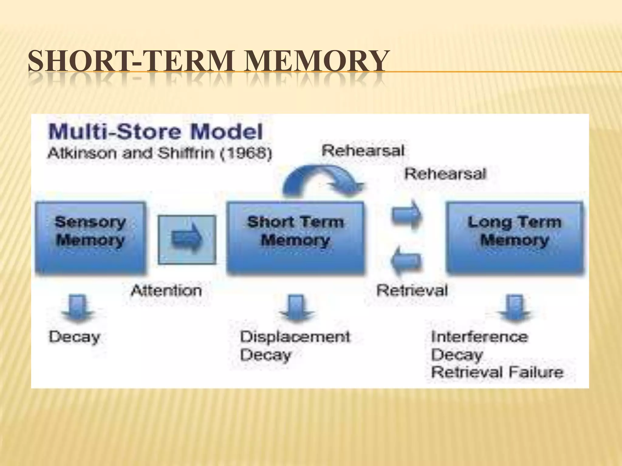 SHORT-TERM MEMORY
 