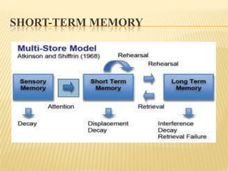 SHORT-TERM MEMORY
 