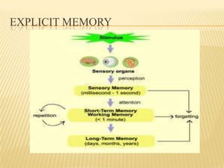 EXPLICIT MEMORY
 