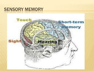 SENSORY MEMORY
 