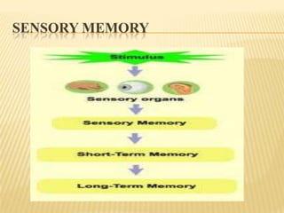 SENSORY MEMORY
 