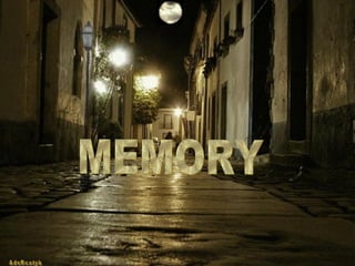 MEMORY 