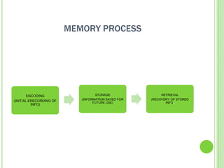 MEMORY PROCESS




        ENCODING                   STORAGE                RETRIEVAL
                            (INFORMATION SAVED FOR   (RECOVERY OF STORED
(INITIAL ERECORDING OF            FUTURE USE)               INFO)
          INFO)
 