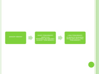 SHORT-TERM MEMORY         LONG-TERM MEMORY
SENSORY MEMORY         (REPETITIVE         (ELABORATE REHEARSAL
                 REHEARSAL,RETAINS INFO.   MOVES INFO.INTO LONG-
                 IN SHORT TERM MEMORY)         TERM MEMORY)
 