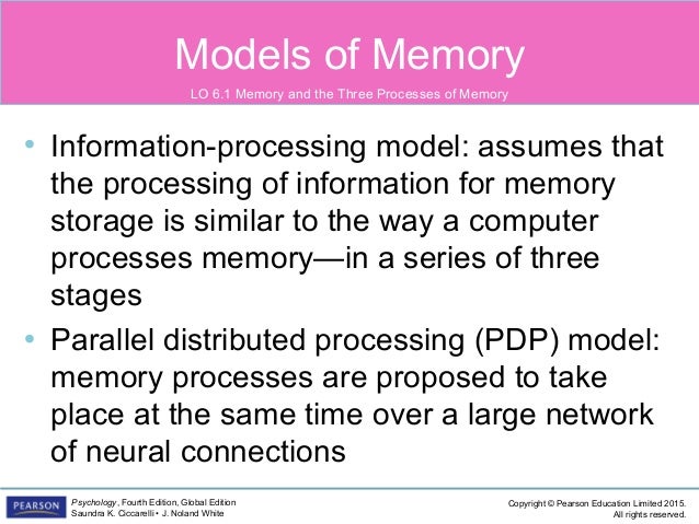 eidetic memory definition for kids eidetic memory definition for kids
