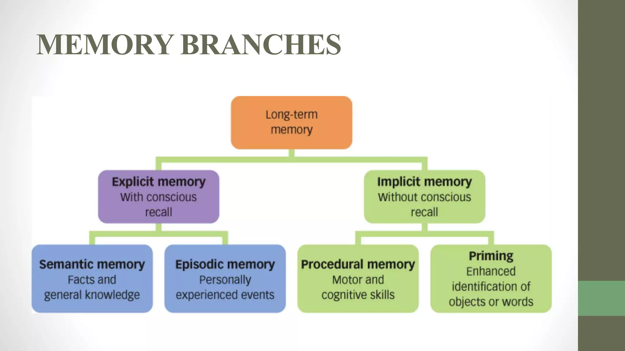 MEMORY BRANCHES
 