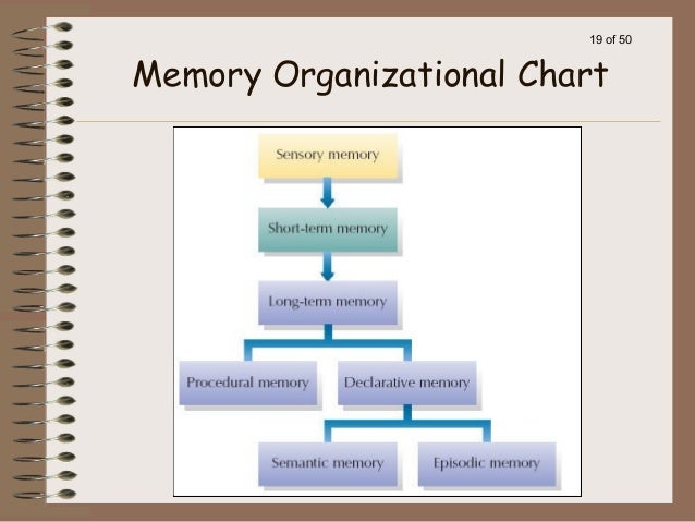 Long Term Memory Chart