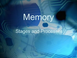 Memory
Stages and Processes
 