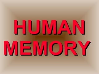 HUMANHUMAN
MEMORYMEMORY
 