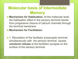 Molecular basis of Intermediate
Memory
 Mechanism for Habituation. At the molecular level,
the habituation effect in the sensory terminal results
from progressive closure of calcium channels through
the terminal membrane.
 Mechanism for Facilitation.
 1. Stimulation of the facilitator presynaptic terminal
simultaneously with the sensory terminal causes
serotonin release at the facilitator synapse on the
surface of the sensory terminal.
 
