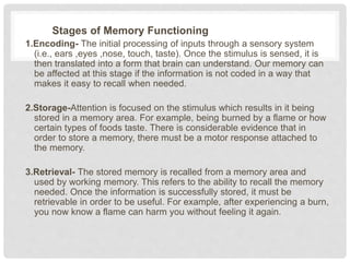 Stimuli Memory Memory | PPTX