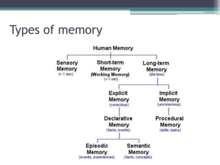 Types of memory
 