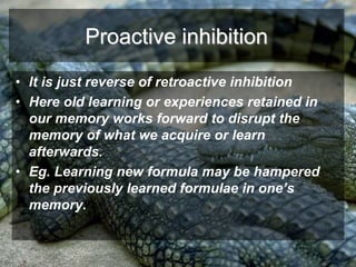 Memory and Forgetting | PPTX