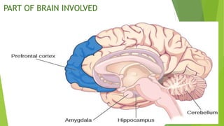 PART OF BRAIN INVOLVED
 