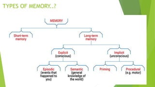 TYPES OF MEMORY..?
 