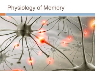 Physiology of Memory
 