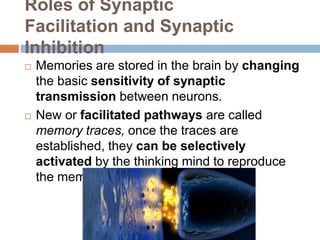 Roles of Synaptic
Facilitation and Synaptic
Inhibition
 Memories are stored in the brain by changing
the basic sensitivity of synaptic
transmission between neurons.
 New or facilitated pathways are called
memory traces, once the traces are
established, they can be selectively
activated by the thinking mind to reproduce
the memories
 
