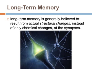 Long-Term Memory
 long-term memory is generally believed to
result from actual structural changes, instead
of only chemical changes, at the synapses.
 