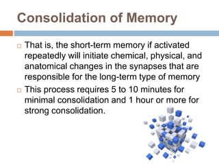 Consolidation of Memory
 That is, the short-term memory if activated
repeatedly will initiate chemical, physical, and
anatomical changes in the synapses that are
responsible for the long-term type of memory
 This process requires 5 to 10 minutes for
minimal consolidation and 1 hour or more for
strong consolidation.
 