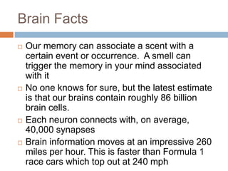 Brain Facts
 Our memory can associate a scent with a
certain event or occurrence. A smell can
trigger the memory in your mind associated
with it
 No one knows for sure, but the latest estimate
is that our brains contain roughly 86 billion
brain cells.
 Each neuron connects with, on average,
40,000 synapses
 Brain information moves at an impressive 260
miles per hour. This is faster than Formula 1
race cars which top out at 240 mph
 