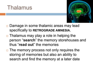 Thalamus
 Damage in some thalamic areas may lead
specifically to RETROGRADE AMNESIA.
 Thalamus may play a role in helping the
person “search” the memory storehouses and
thus “read out” the memories
 The memory process not only requires the
storing of memories but also an ability to
search and find the memory at a later date
 
