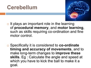 Cerebellum
 It plays an important role in the learning
of procedural memory, and motor learning,
such as skills requiring co-ordination and fine
motor control.
 Specifically it is considered to co-ordinate
timing and accuracy of movements, and to
make long-term changes to improve these
skills. Eg : Calculate the angle and speed at
which you have to kick the ball to make it a
goal.
 