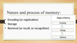 memoryand memory related issues with .pptx