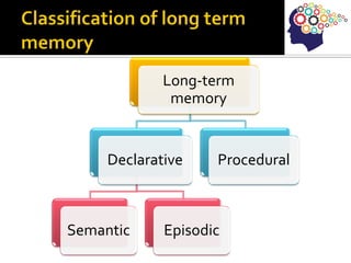 Long-term
memory
Declarative
Semantic Episodic
Procedural
 