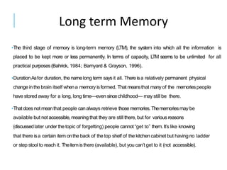 Bahrick Memory | PDF
