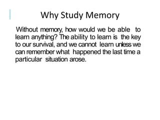 We Solve Problems Using Memory Memory | PDF