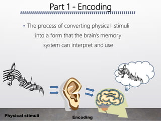Stimuli Memory Memory | PPTX