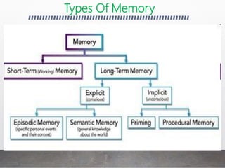 Types Of Memory
 