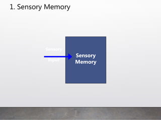 1. Sensory Memory
Sensory
Input
Sensory
Memory
 