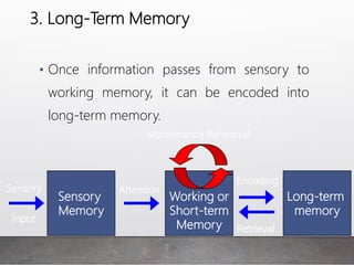 3. Long-Term Memory
• Once information passes from sensory to
working memory, it can be encoded into
long-term memory.
Long-term
memory
Working or
Short-term
Memory
Sensory
Input
Sensory
Memory
Attention
Encoding
Retrieval
Maintenance Rehearsal
 