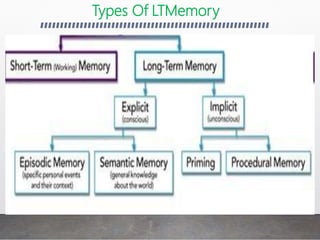 Types Of LTMemory
 