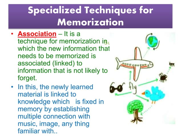 Factors Influencing Memory : MEMORY – EJZV