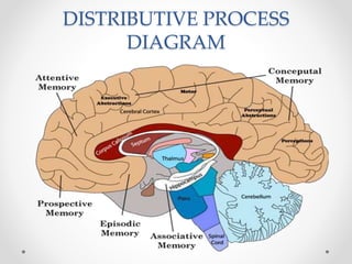 DISTRIBUTIVE PROCESS
DIAGRAM
 