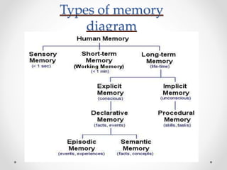 Types of memory
diagram
 