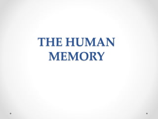 THE HUMAN
MEMORY
 