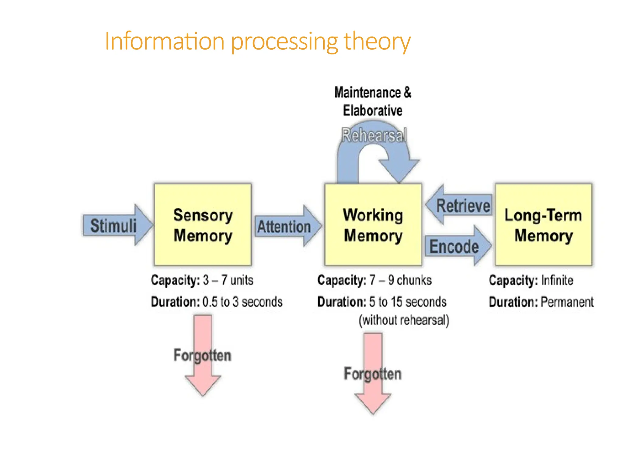 Information processing theory
 