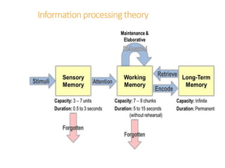 Information processing theory
 