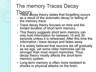 Memory Decay Examples Memory | PPTX