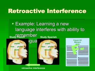 Memory | PPT