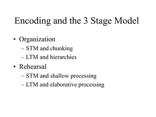 Encoding and the 3 Stage Model
• Organization
– STM and chunking
– LTM and hierarchies
• Rehearsal
– STM and shallow processing
– LTM and elaborative processing
 