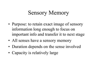 Sensory Memory
• Purpose: to retain exact image of sensory
information long enough to focus on
important info and transfer it to next stage
• All senses have a sensory memory
• Duration depends on the sense involved
• Capacity is relatively large
 