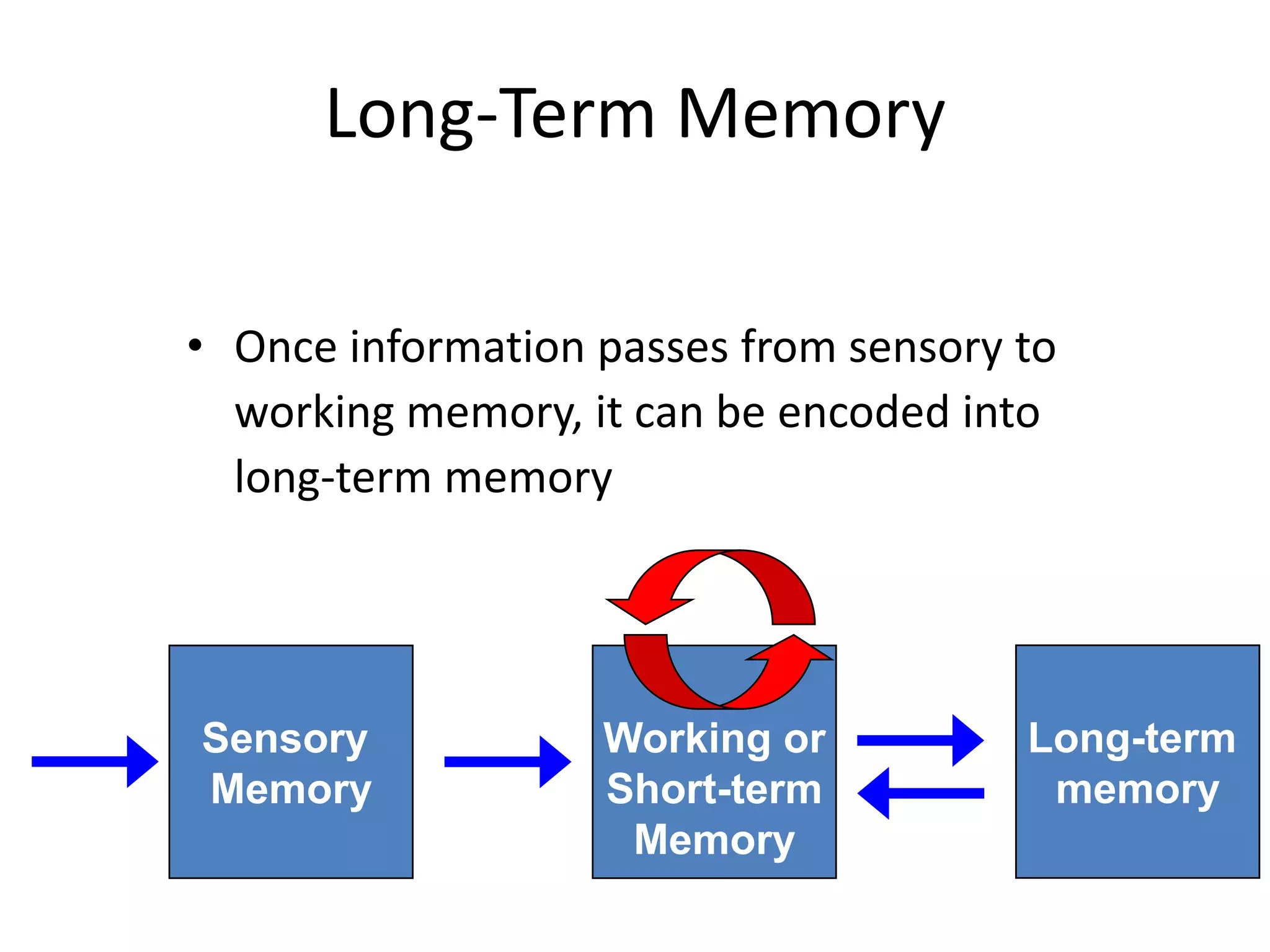 Long-Term Memory
• Once information passes from sensory to
working memory, it can be encoded into
long-term memory
Long-term
memory
Working or
Short-term
Memory
Sensory
Input
Sensory
Memory
Attention
Encoding
Retrieval
Maintenance Rehearsal
 