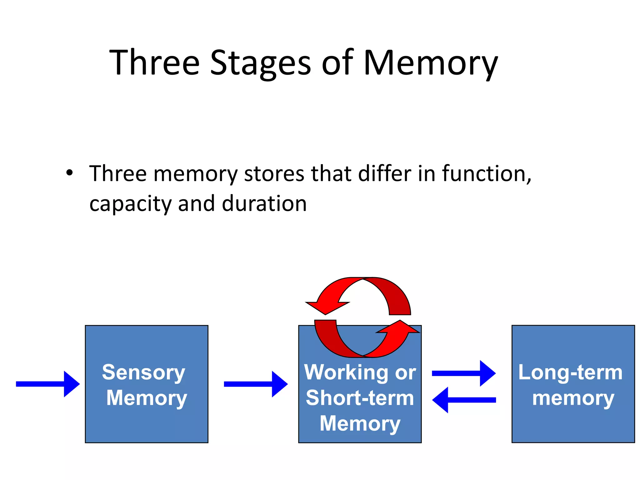 Three Stages of Memory
• Three memory stores that differ in function,
capacity and duration
Long-term
memory
Working or
Short-term
Memory
Sensory
Input
Sensory
Memory
Attention
Encoding
Retrieval
Maintenance Rehearsal
 