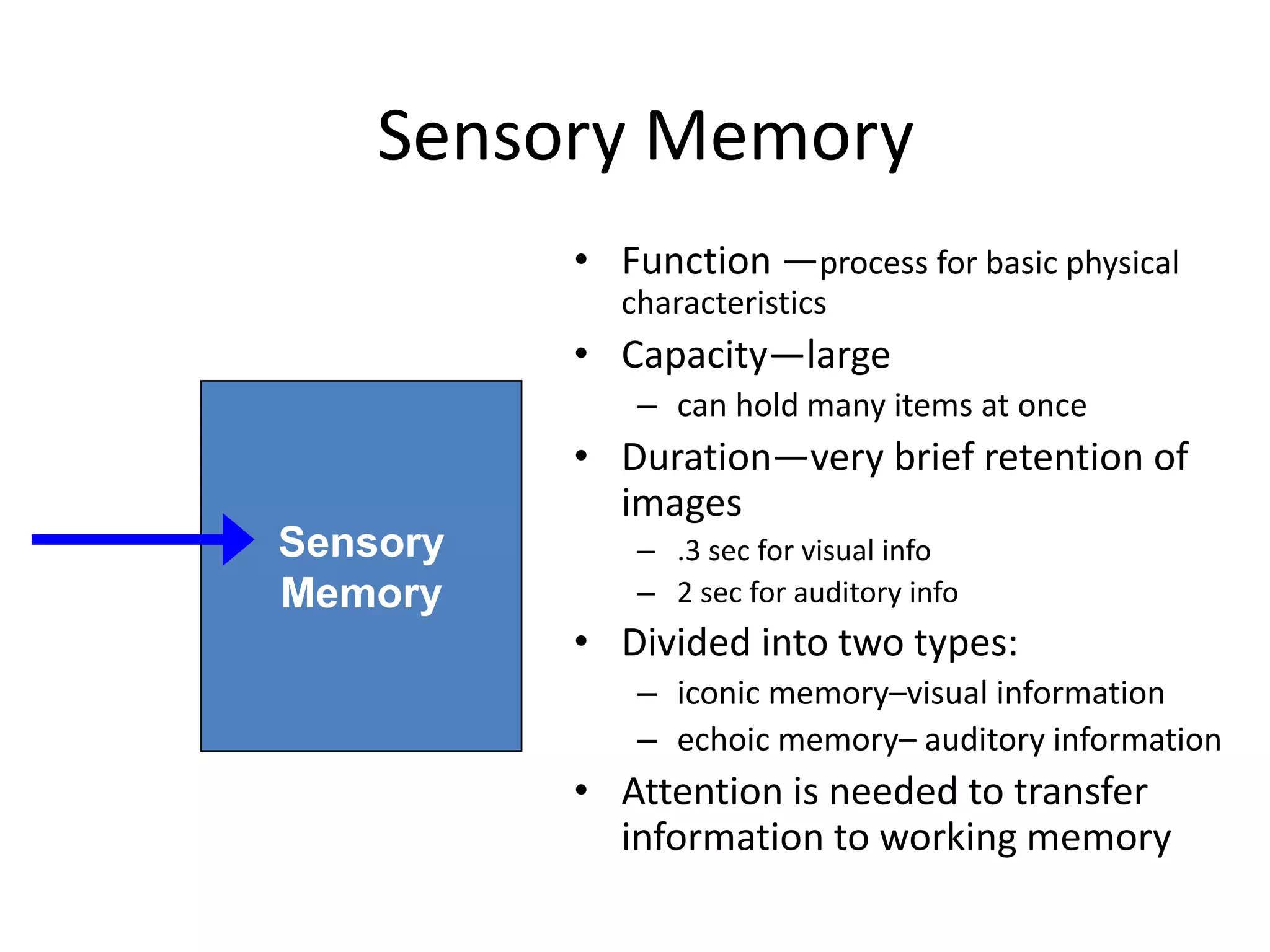 Sensory Memory
• Function —process for basic physical
characteristics
• Capacity—large
– can hold many items at once
• Duration—very brief retention of
images
– .3 sec for visual info
– 2 sec for auditory info
• Divided into two types:
– iconic memory–visual information
– echoic memory– auditory information
• Attention is needed to transfer
information to working memory
Sensory
Input
Sensory
Memory
 